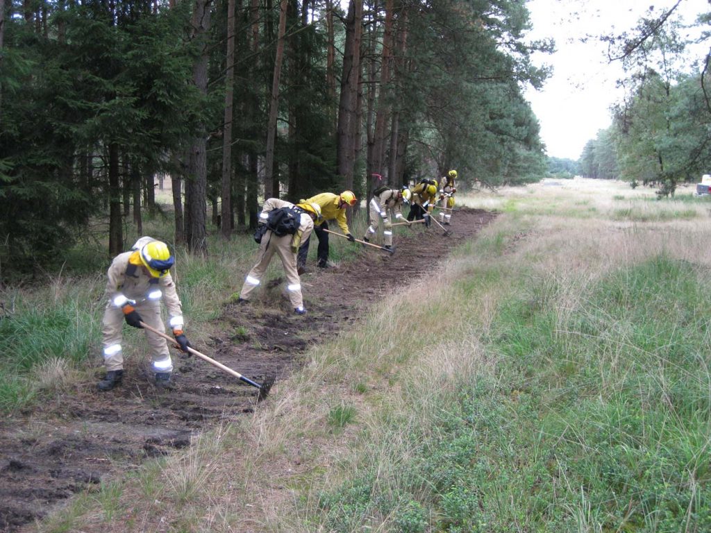 Waldbrand