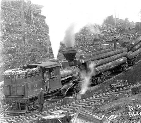 Waldbahn