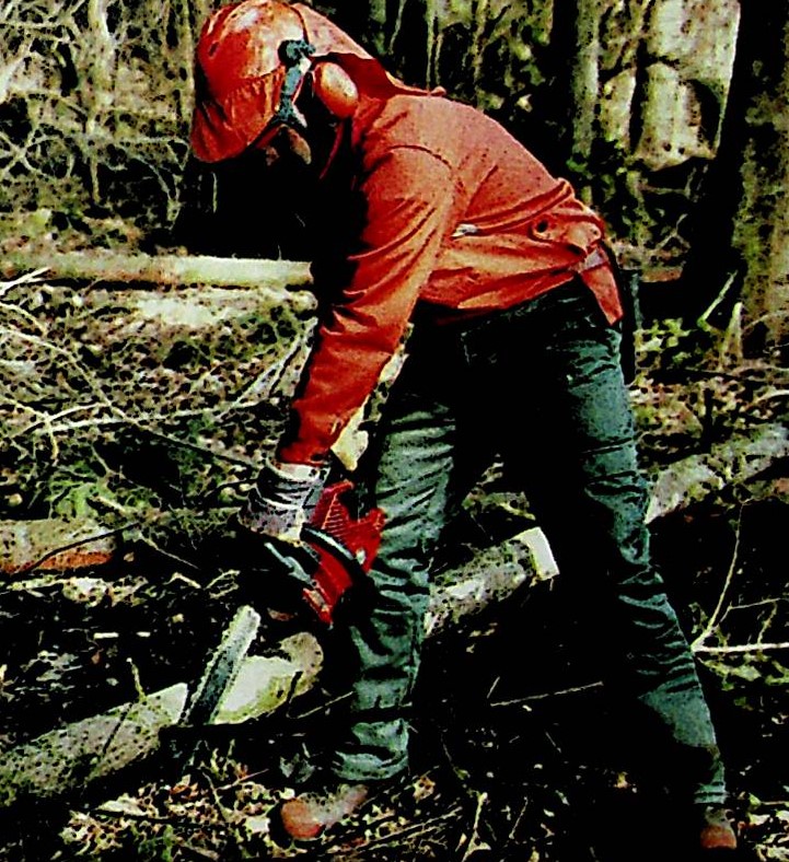 Ablauf der Fllung  Forestbook