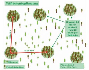 Teilflächenpflanzung.