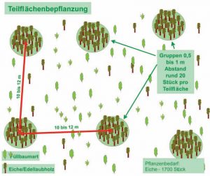 Waldbau