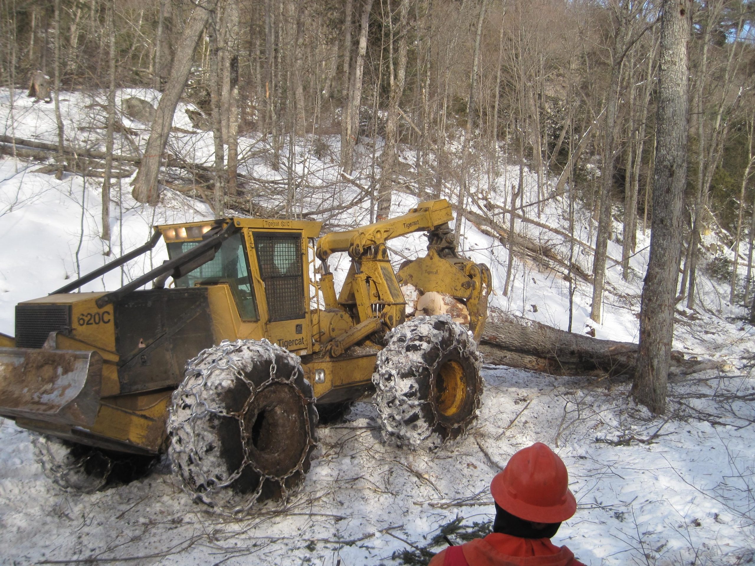 Skidder